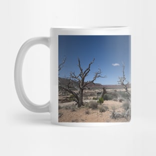 850_3881 Mug